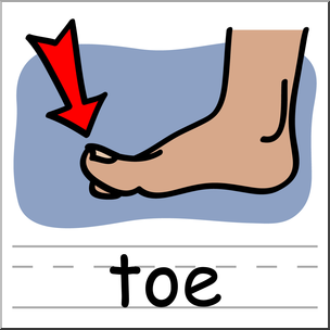 Clip Art: Basic Words: Toe Color Labeled