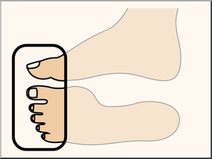 Clip Art: Parts of the Body: Toes Color Unlabeled