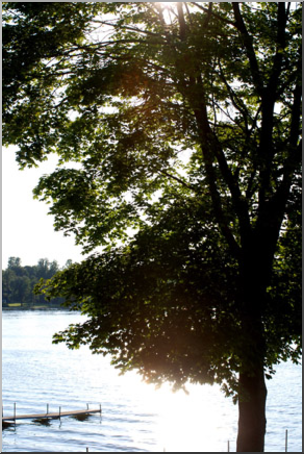 Photo: Lake and Tree 01a LowRes