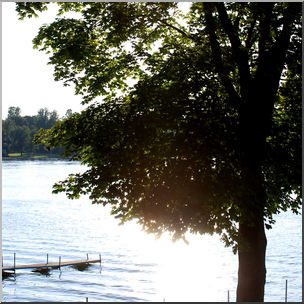 Photo: Lake and Tree 01b HiRes
