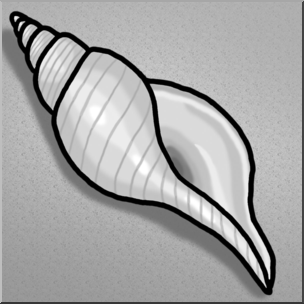 Clip Art: Seashells: Tulip Shell Grayscale