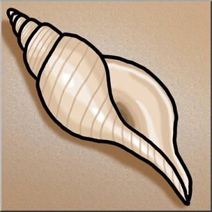 Clip Art: Seashells: Tulip Shell Color