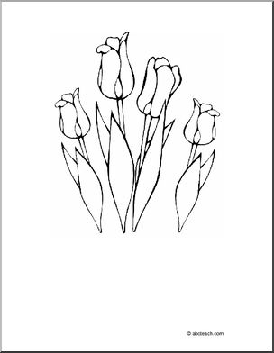 Coloring Page: Tulips