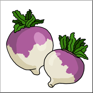 Clip Art: Turnips Color
