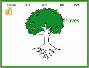 Interactive: PowerPoint: ESL:Vocabulary–Create a Tree