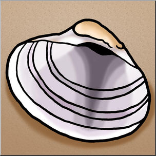 Clip Art: Seashells: Venus Clam Shell Color