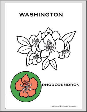 Washington:  State Flower – Rhododendron