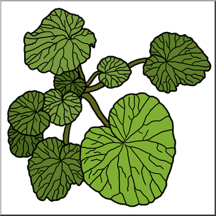 Clip Art: Plants: Wasabi Color 2