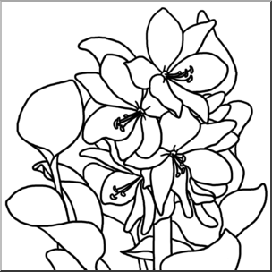 Clip Art: Plants: Water Hyacinth B&W