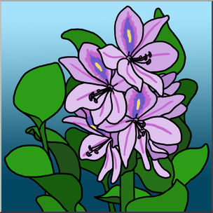 Clip Art: Plants: Water Hyacinth Color 1