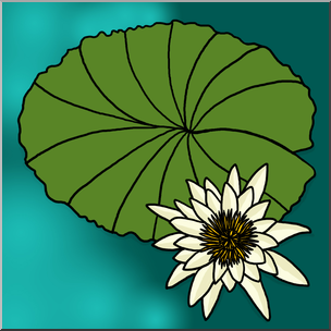 Clip Art: Plants: Water Lily Color 1