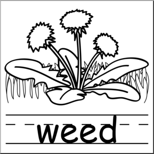 Clip Art: Basic Words: Weed B&W Labeled