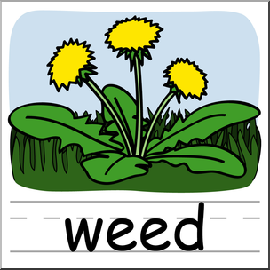 Clip Art: Basic Words: Weed Color Labeled