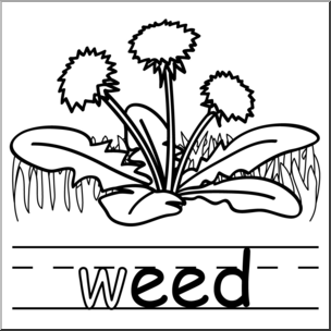 Clip Art: Basic Words: -eed Phonics: Weed B&W