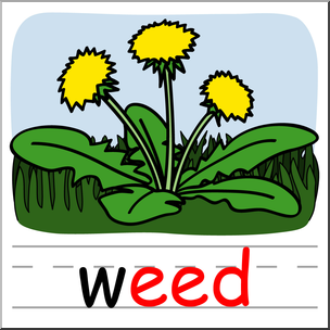 Clip Art: Basic Words: -eed Phonics: Weed Color