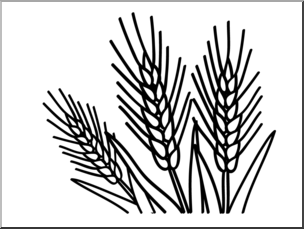 Clip Art: Basic Words: Wheat B&W Unlabeled