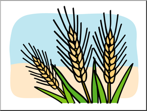 Clip Art: Basic Words: Wheat Color Unlabeled