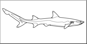 Clip Art: Sharks: White Tip Reef Shark B&W
