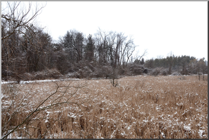 Photo: Winter Landscape 01 HiRes