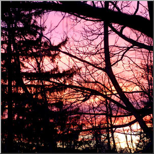 Photo: Winter Sunset 01b HiRes