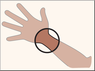 Clip Art: Parts of the Body: Wrist Color Unlabeled