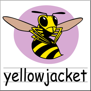 Clip Art: Basic Words: yellowjacket Color Labeled