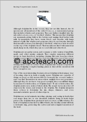 Comprehension: Animals: Dolphins (upper elem/middle)