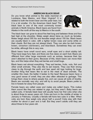Comprehension: Black Bears (elem)