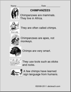 Comprehension: Chimpanzee (primary/elem)