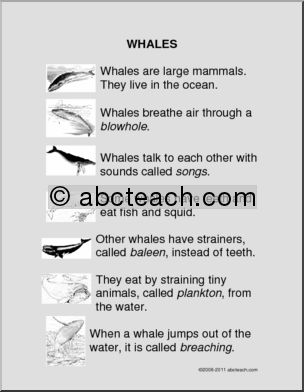 Comprehension: Whales (primary/elem)