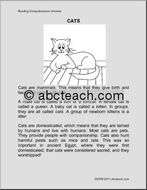 Comprehension: Animal – Cat (primary/elem)