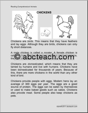 Comprehension: Animal – Chicken (primary/elem)