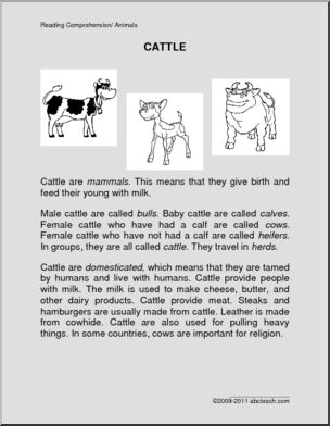 Comprehension: Animal – Cows (elementary)