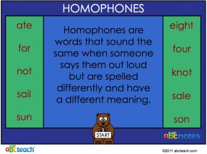Interactive: Notebook: Language Arts: Homophones (elem)