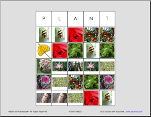 Bingo: Plants