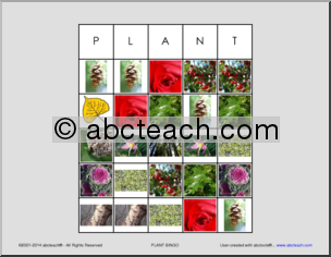 Bingo: Plants