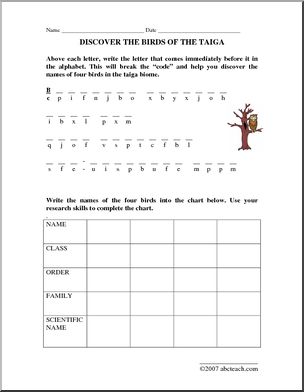 Decode the Taiga Birds (elem/upper elem) Worksheet