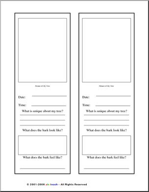 Report Form: Adopt a Tree (elementary) – Abcteach