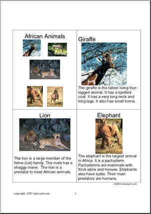 Fact Card: African Animals 1