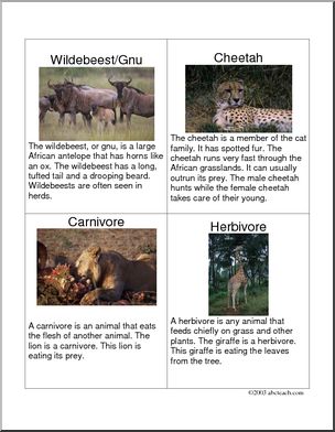Fact Card: African Animals 2
