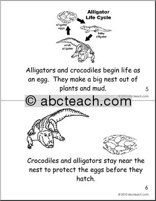 Early Reader: Crocodile and Alligator Booklet (b/w) (k-1)