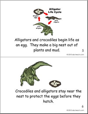 Early Reader: Alligator and Crocodile Booklet (color) (k-1)