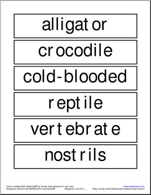 Word Wall: Alligator or Crocodile (primary)
