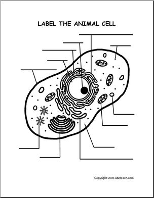 Diagram: Animal Cell – Abcteach