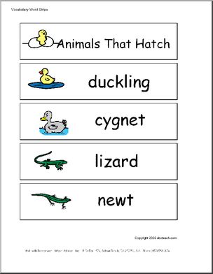 Word Wall: Animals That Hatch (pictures)
