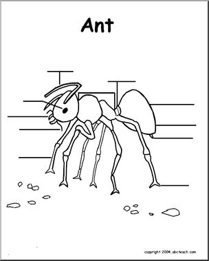 Animal Diagrams:  Ant (unlabeled parts)