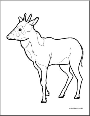 Clip Art: Baby Animals: Antelope Calf (coloring page)