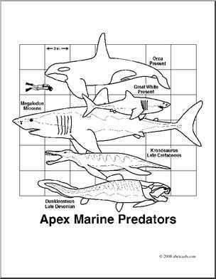 Clip Art: Apex Marine Predators (coloring page)