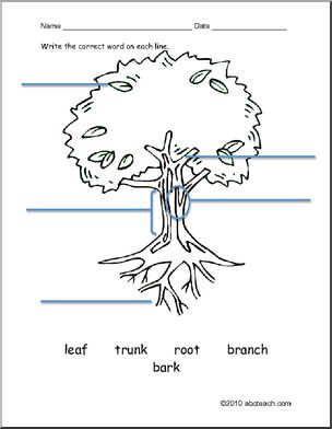 Worksheet: ESL: Vocabulary–Tree