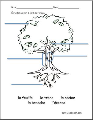 Worksheet: French: Vocabulary–Un arbre
